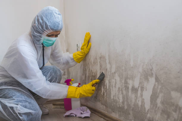 Best Mold Remediation for Specific Building Types in San Felipe Pueblo, NM