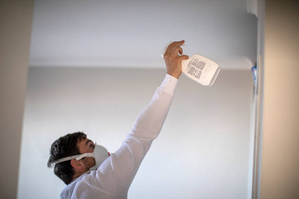 Best Post-Flood Mold Remediation in San Felipe Pueblo, NM